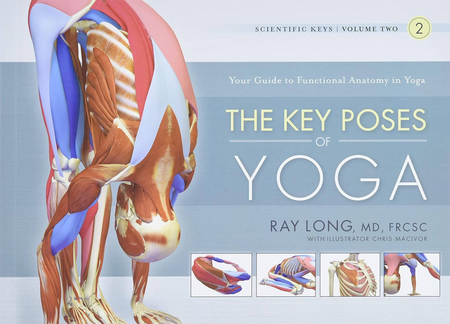 The Key Poses of Yoga