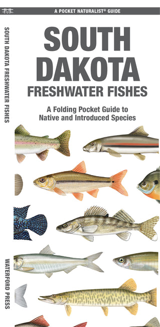 South Dakota Freshwater Fishes: A Folding Pocket Guide to Native and Introduced Species