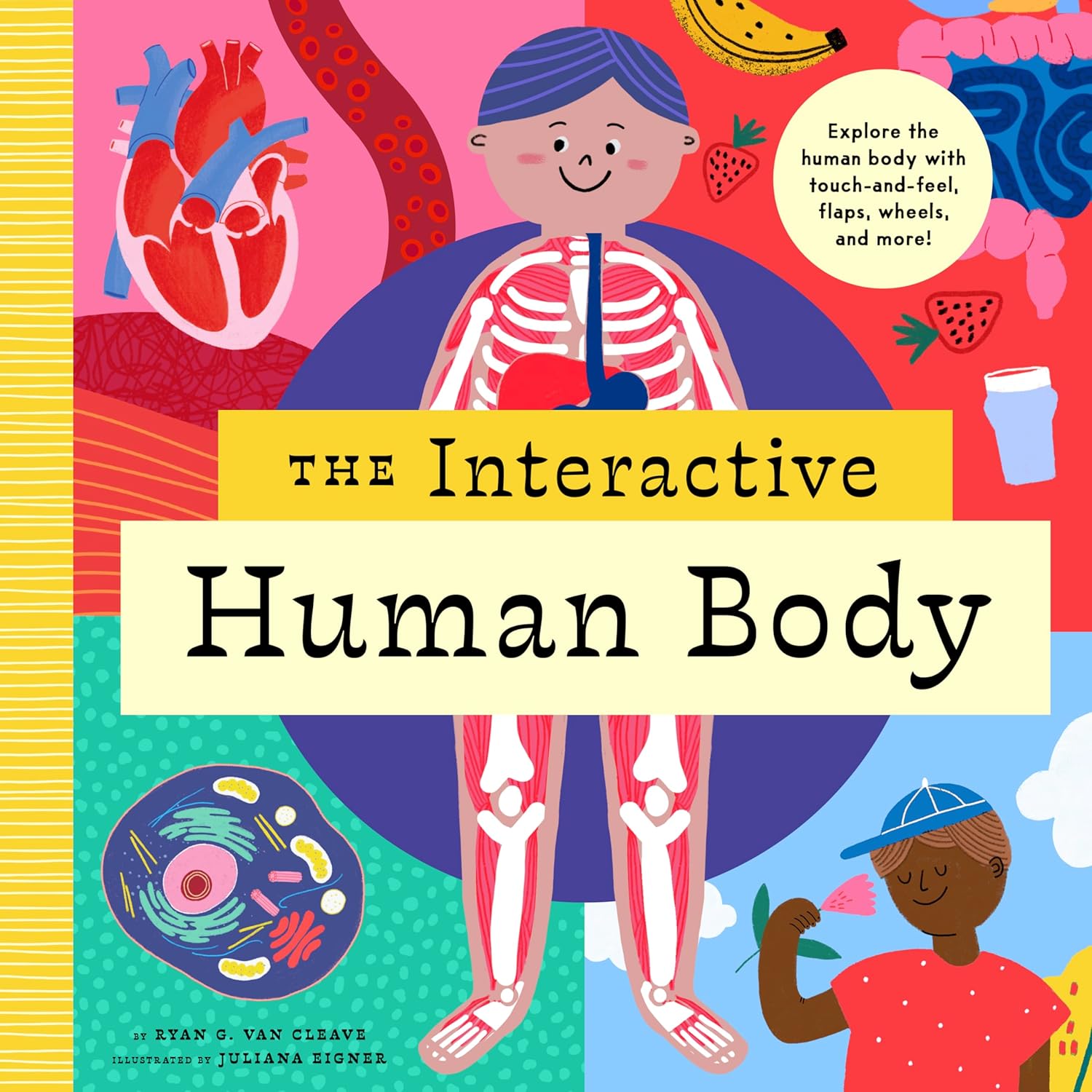 The Interactive Human Body: Explore the Human Body with Flaps, Wheels, Levers, Touch and Feel, and More!