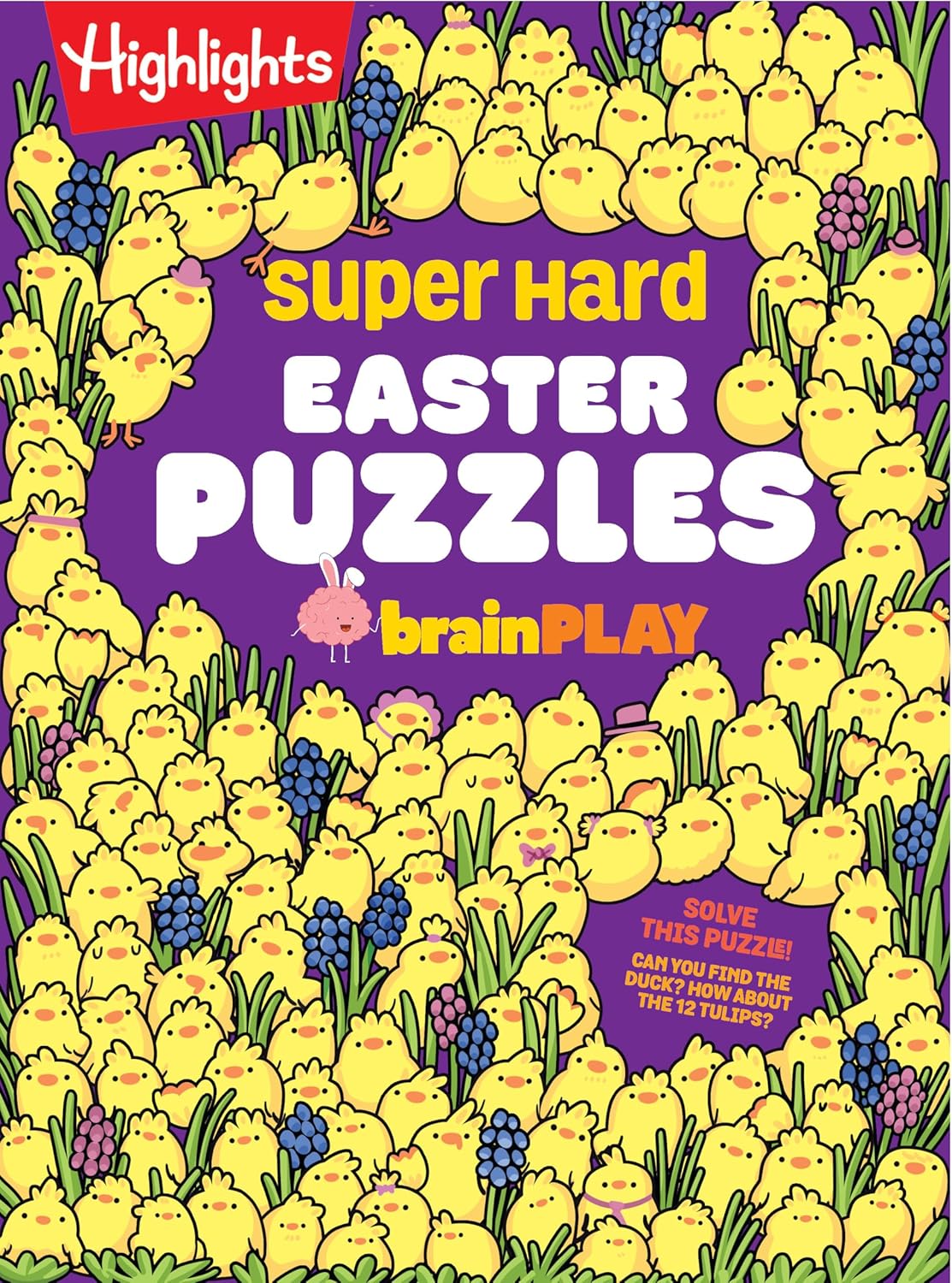 Super Hard Easter Puzzles Brainplay