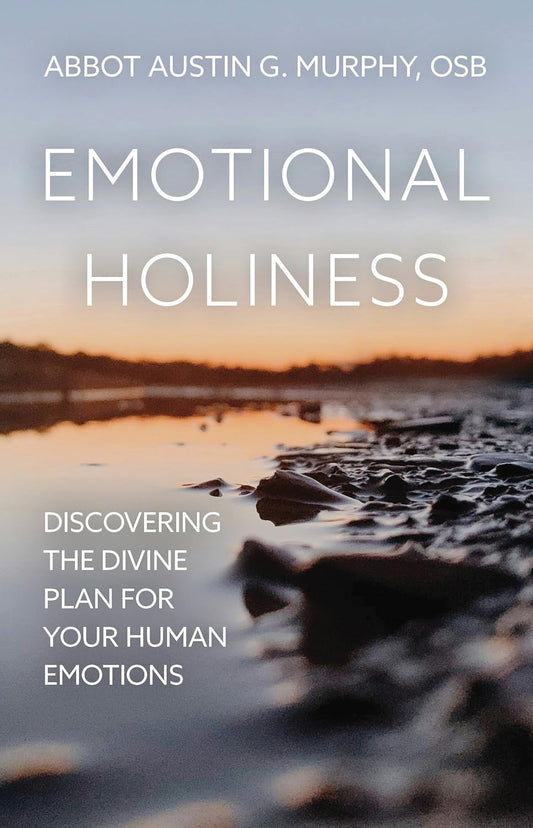 Emotional Holiness Discovering the Divine Plan for Your Human Emotions