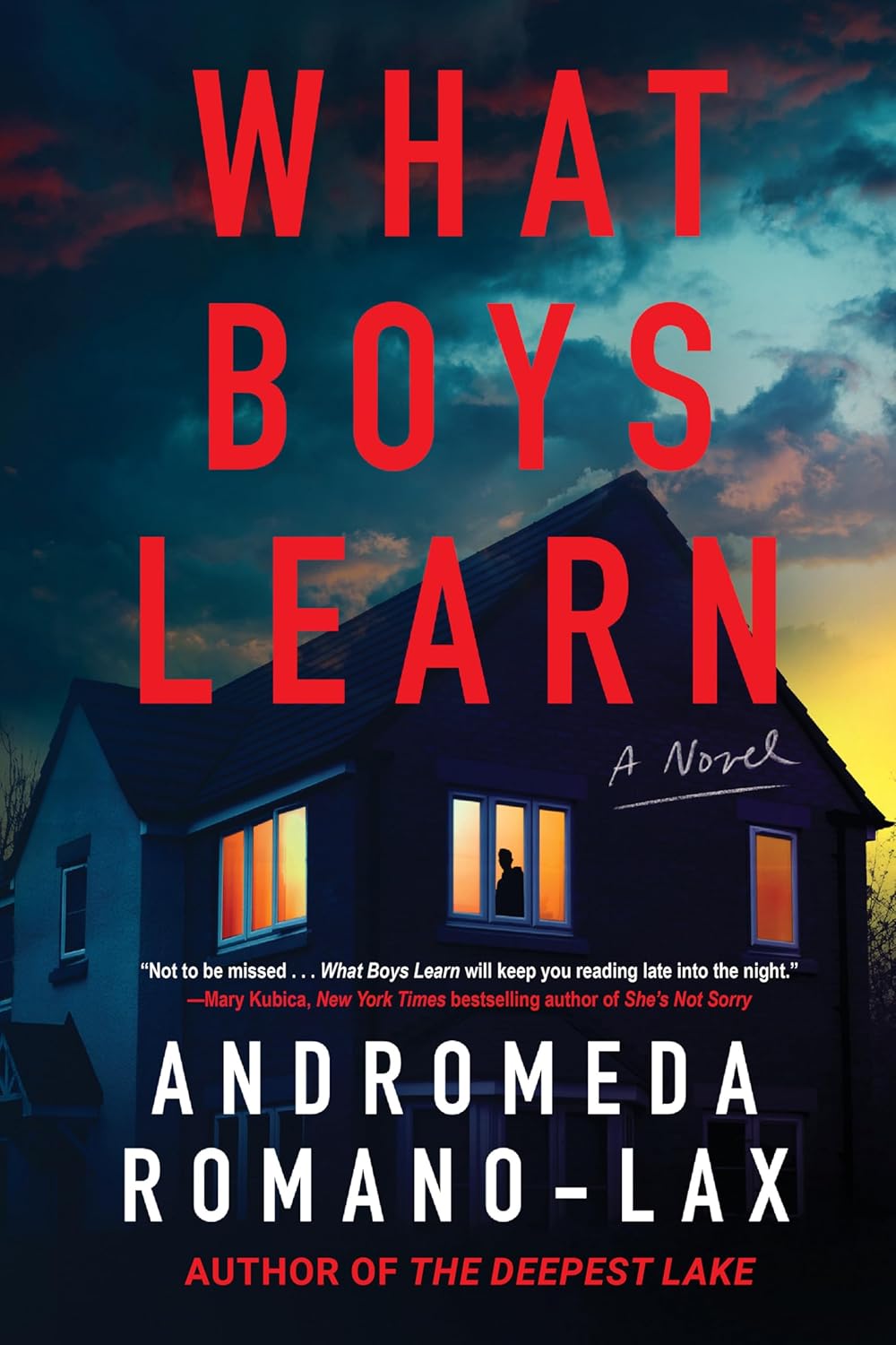 What Boys Learn