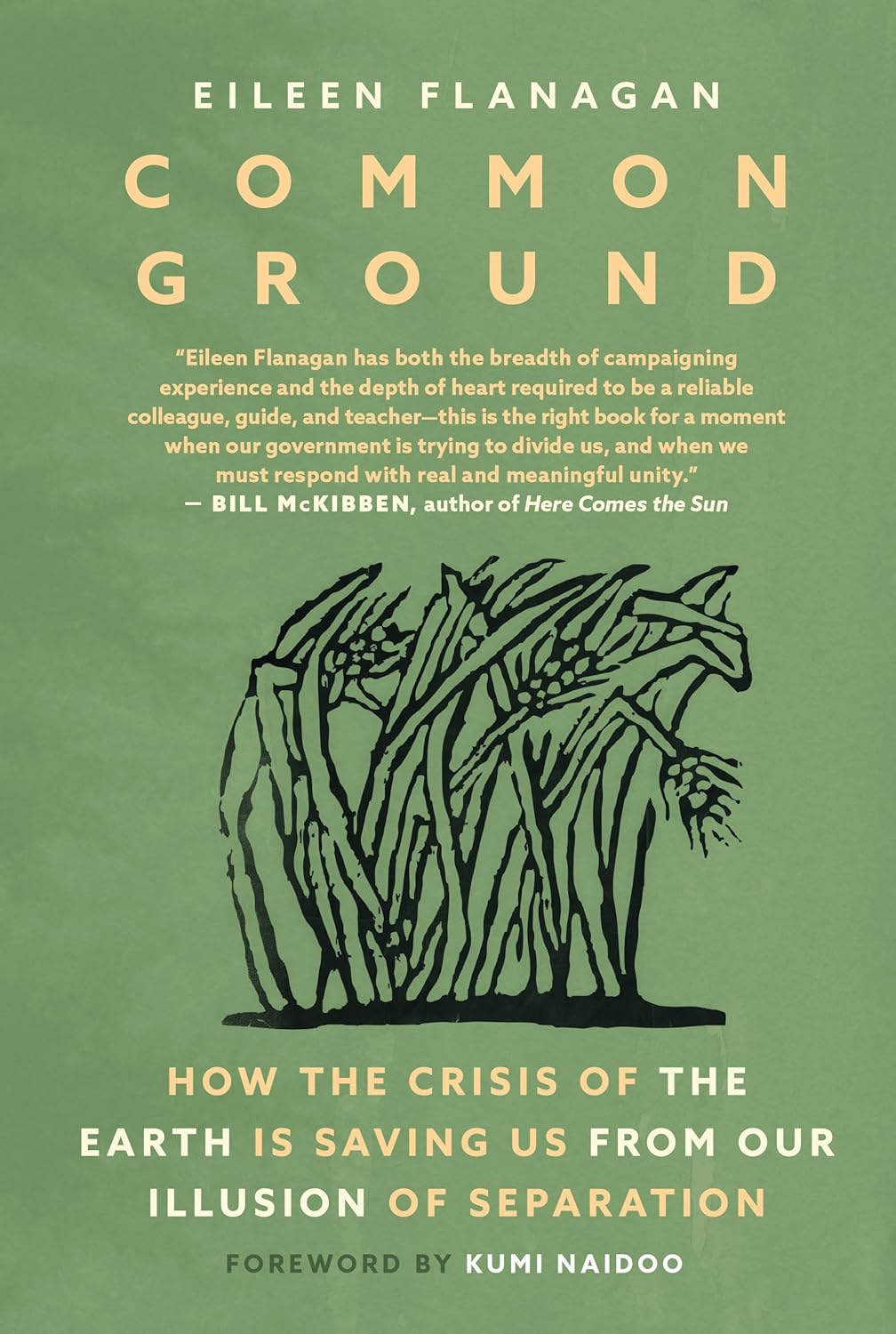 Common Ground: How the Crisis of the Earth Is Saving Us from Our Illusion of Separation