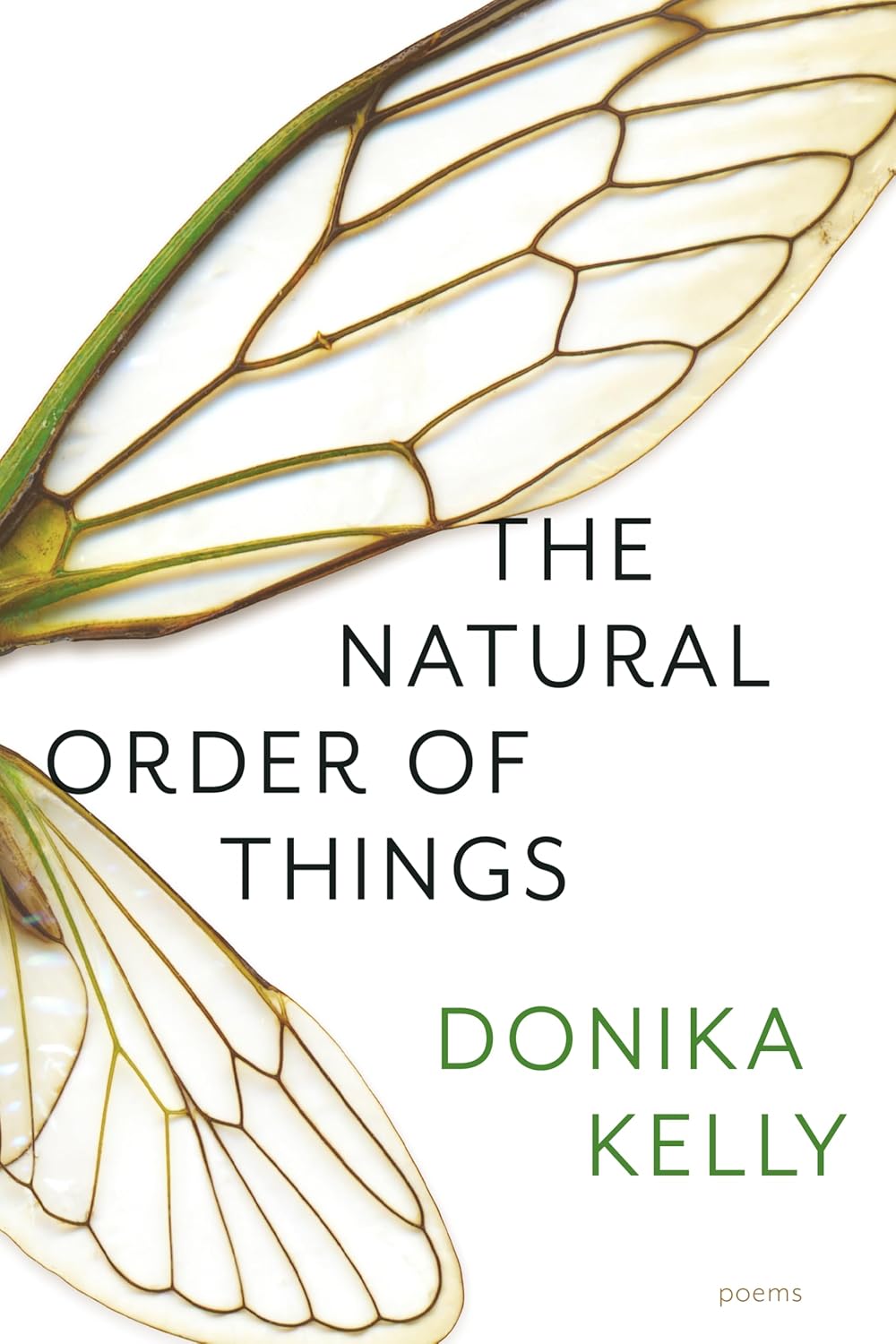 Natural Order of Things: Poems