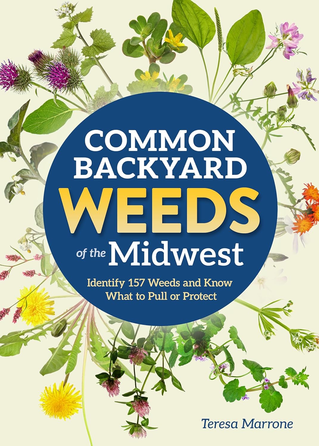 Common Backyard Weeds of the Midwest: Identify 157 Weeds and Know What to Pull or Protect (Revised)