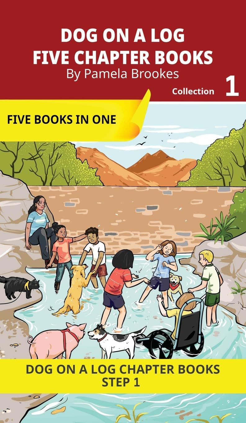 Five Chapter Books 1: Decodable Series for Students Learning to Read. For Beginning Readers and Students with Dyslexia. (Step 1-All Letters plus Conso