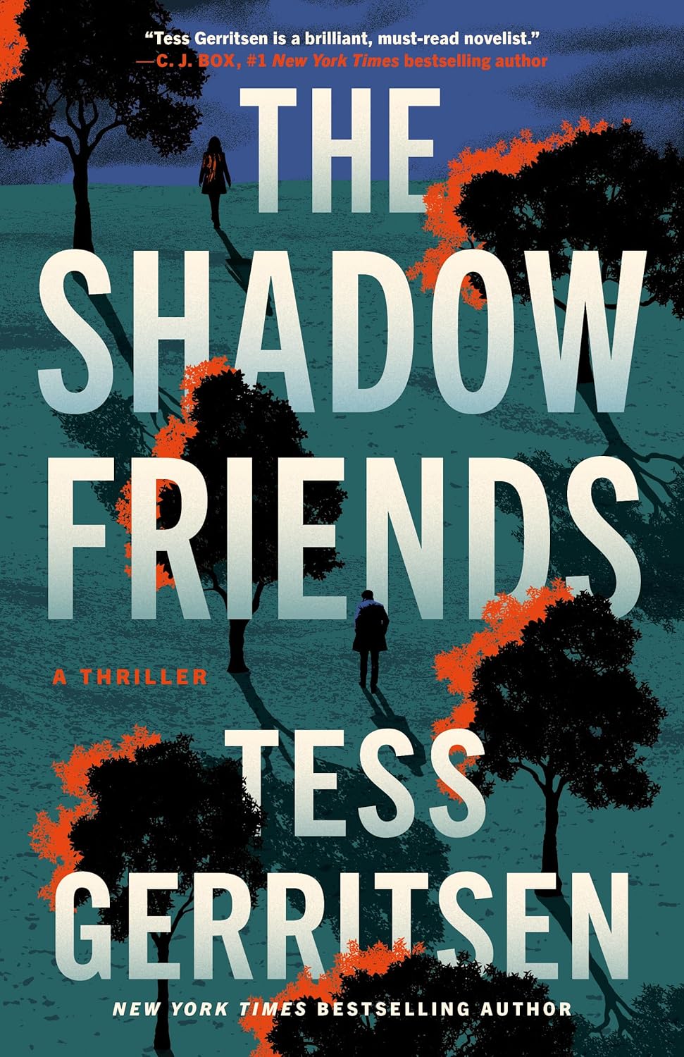 The Shadow Friends: A Thriller