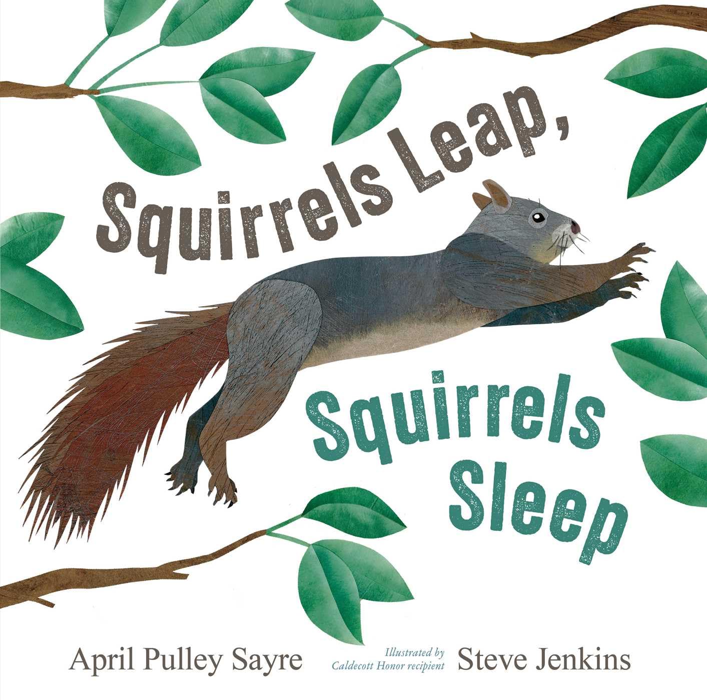 Squirrels Leap, Squirrels Sleep