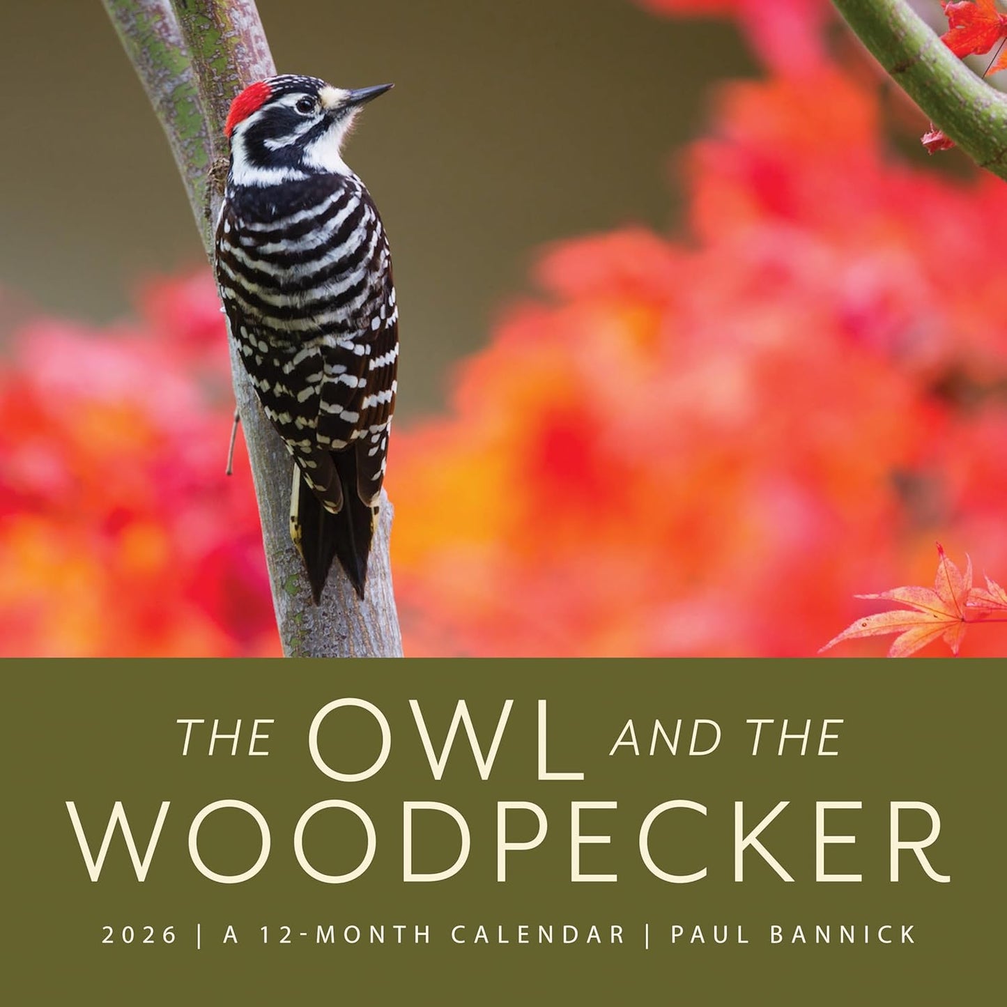 Owl & the Woodpecker 2026: 12-Month Wall Calendar