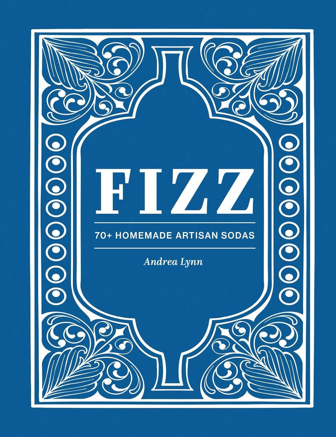 Fizz: 70+ Homemade Artisan Sodas