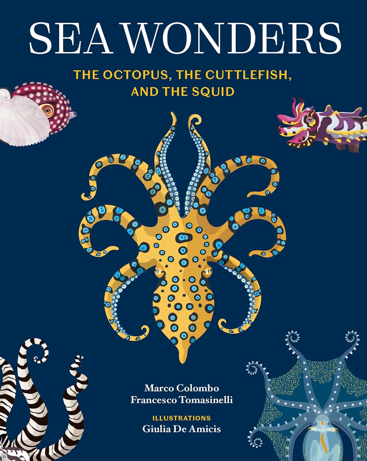 Sea Wonders: The Octopus, the Cuttlefish, and the Squid