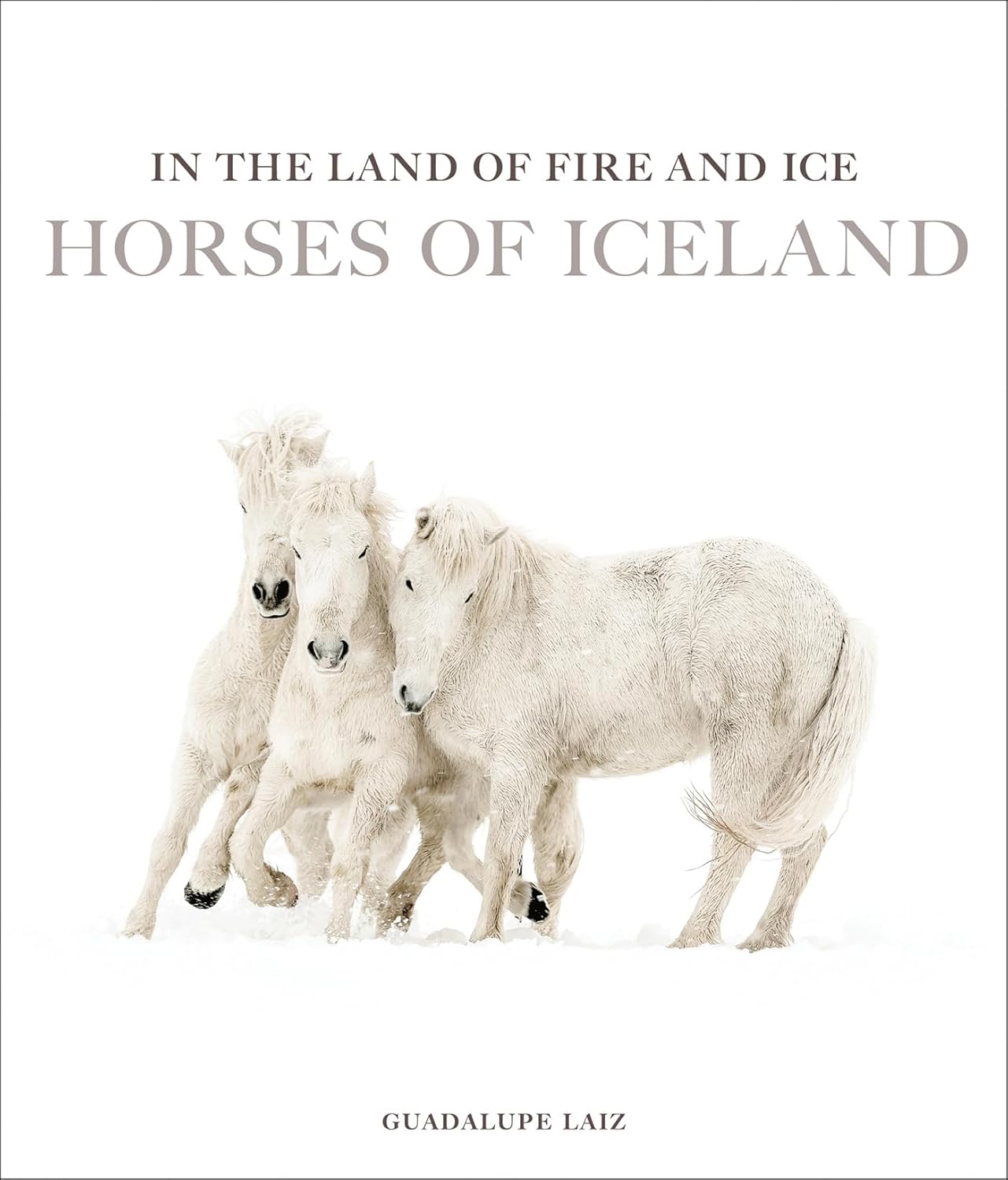 In the Land of Fire and Ice: Horses of Iceland
