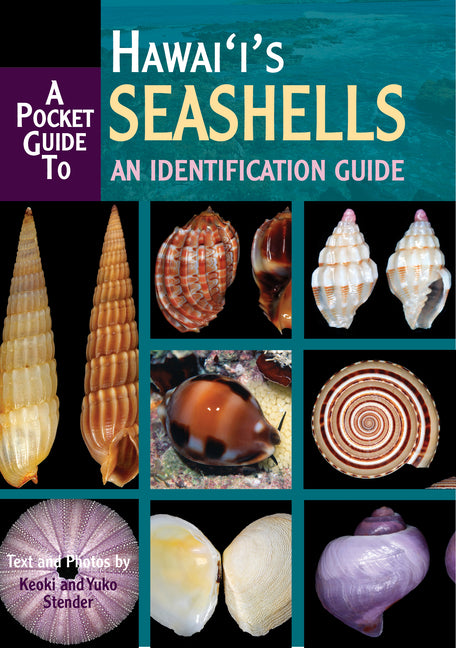 A Pocket Guide to Hawaii's Seashells: An Identification Guide