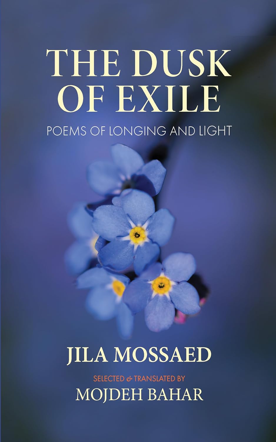 The Dusk of Exile: Poems of Longing and Light