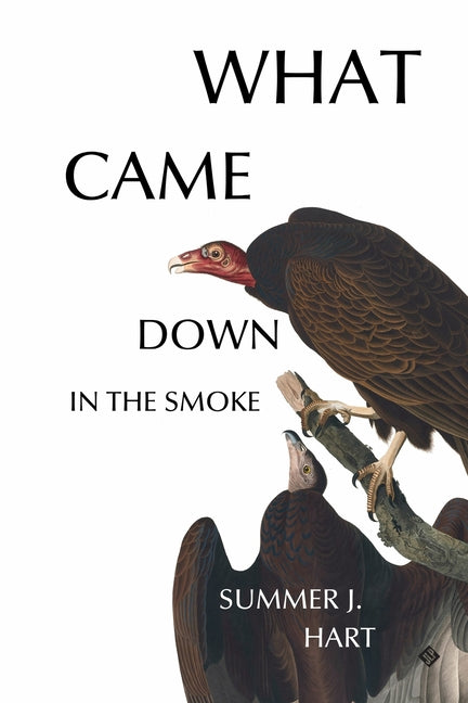 What Came Down in the Smoke