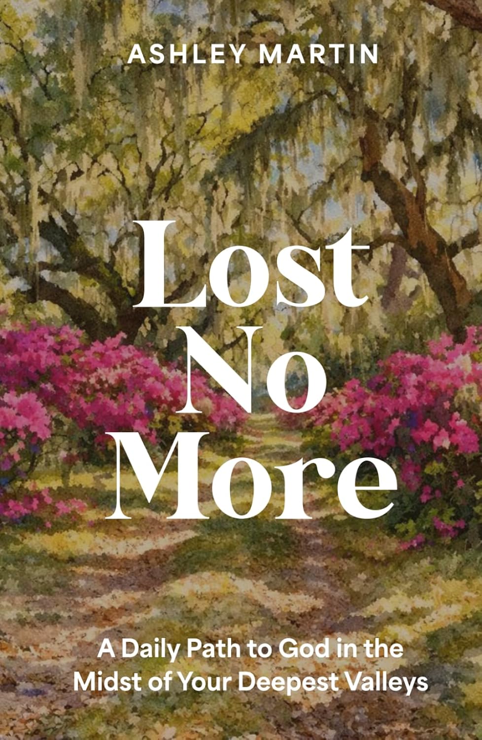 Lost No More: A Daily Path to God in the Midst of Your Deepest Valleys