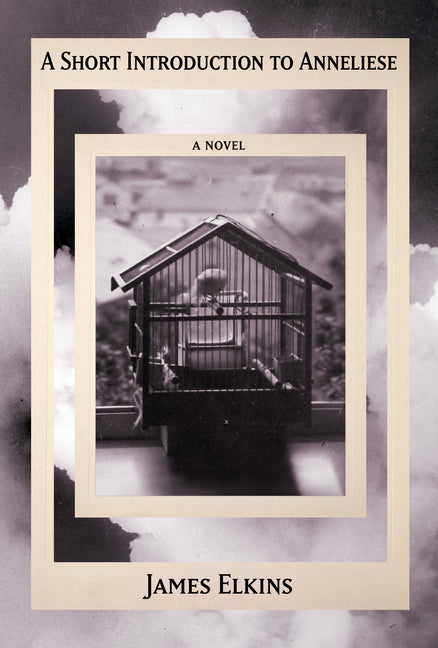 A Short Introduction to Anneliese