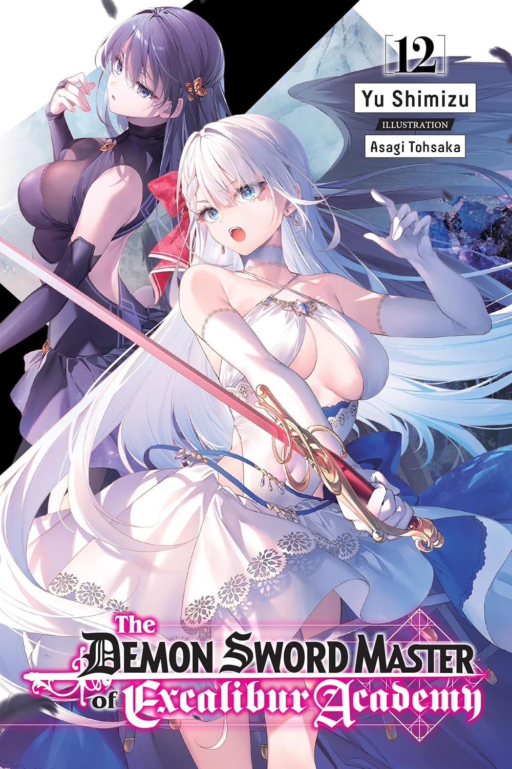 The Demon Sword Master of Excalibur Academy, Vol. 12 (Light Novel)