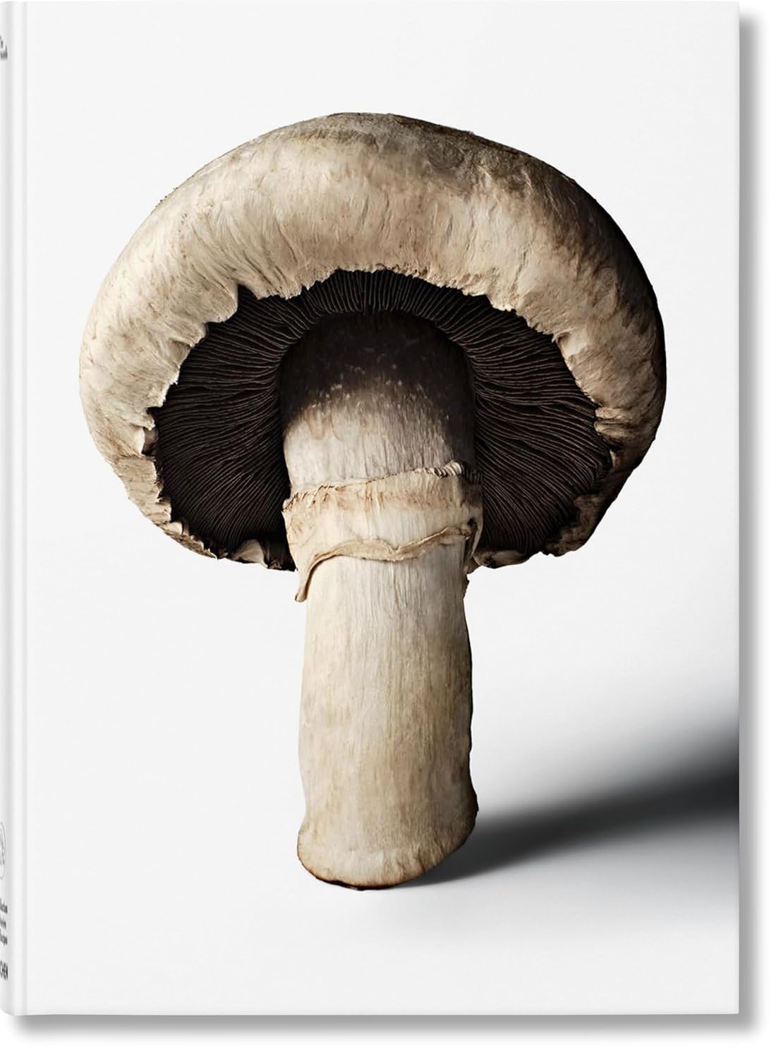 The Gourmand's Mushroom: A Collection of Stories and Recipes
