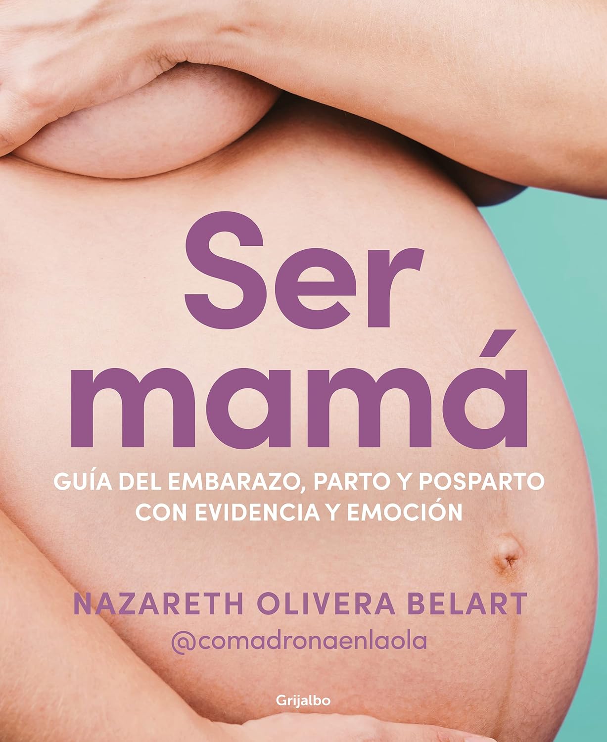 Ser Mama. Guia del Embarazo, Parto Y Posparto Con Evidencia Y Emocion / Becoming a Mom