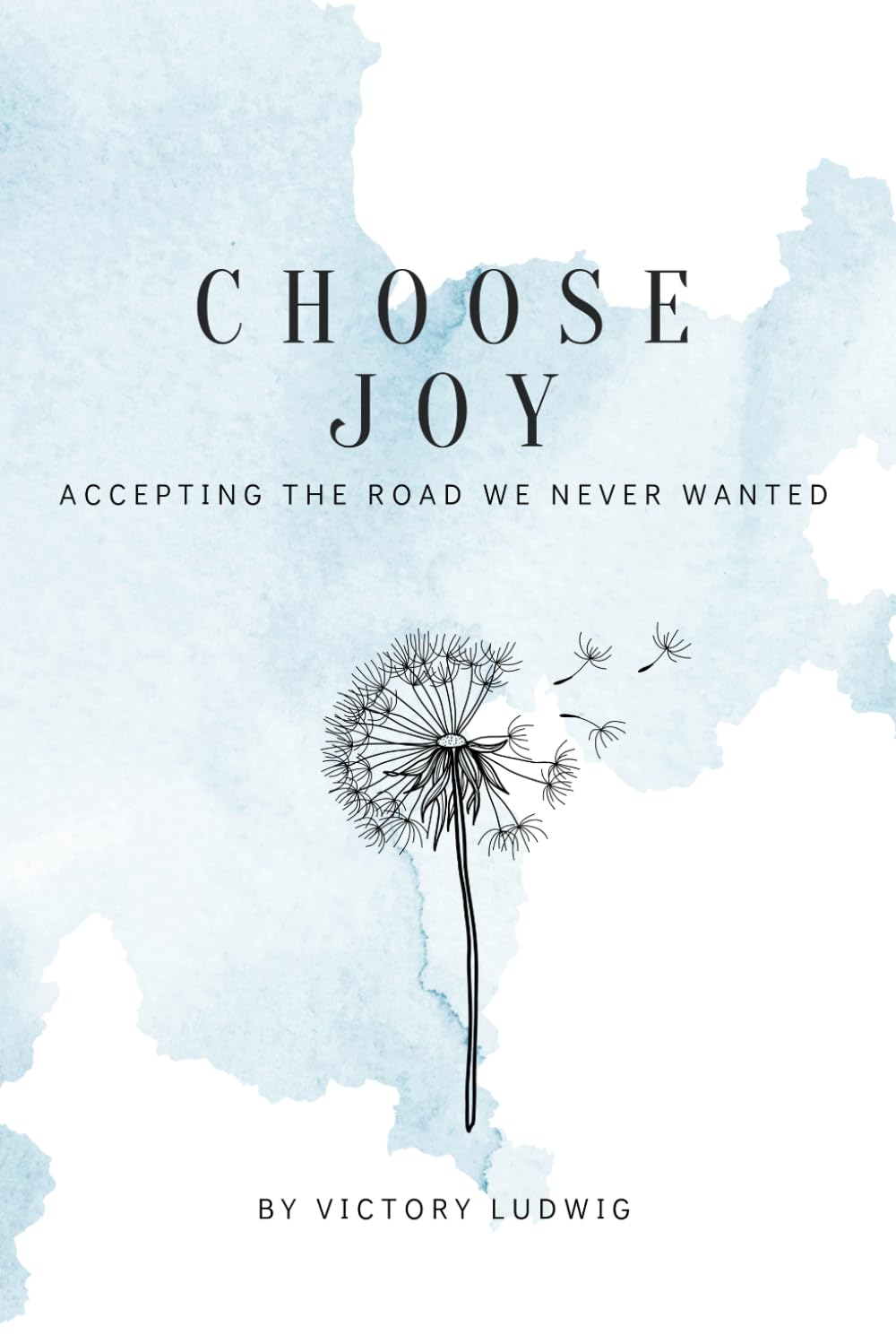 Choose Joy: Accepting the Road We Never Wanted