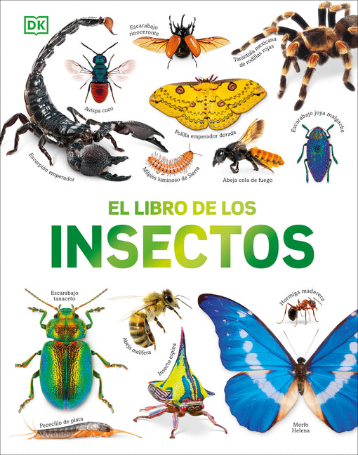 El Libro de Los Insectos (Bugs, Butterflies, Beetles and Bees)