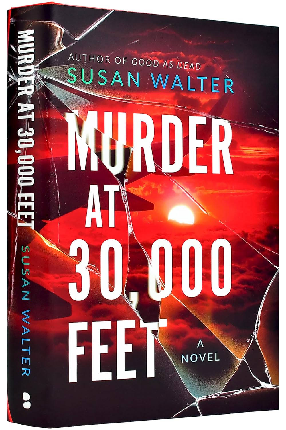 Murder at 30,000 Feet