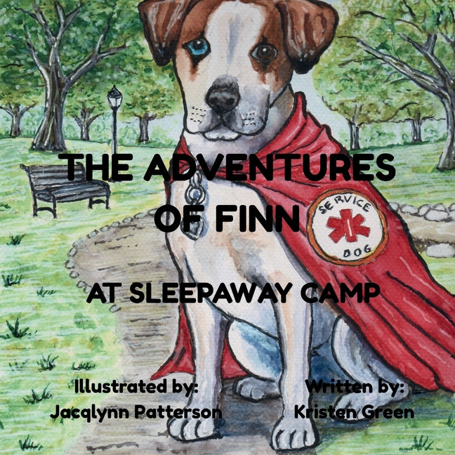 The Adventures of Finn: at Sleepaway Camp