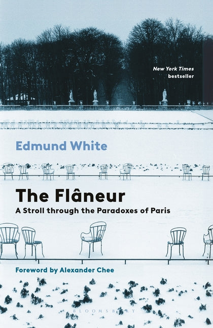 The Flaneur: A Stroll Through the Paradoxes of Paris
