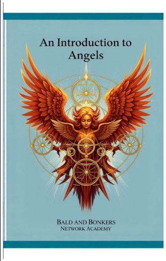 An Introduction to Angels