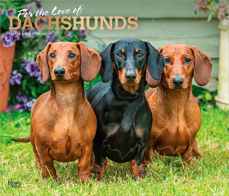 For the Love of Dachshunds 2027 14 X 24 Inch (Hanging) Monthly Deluxe Wall Calendar Foil Stamped Cover Plastic-Free