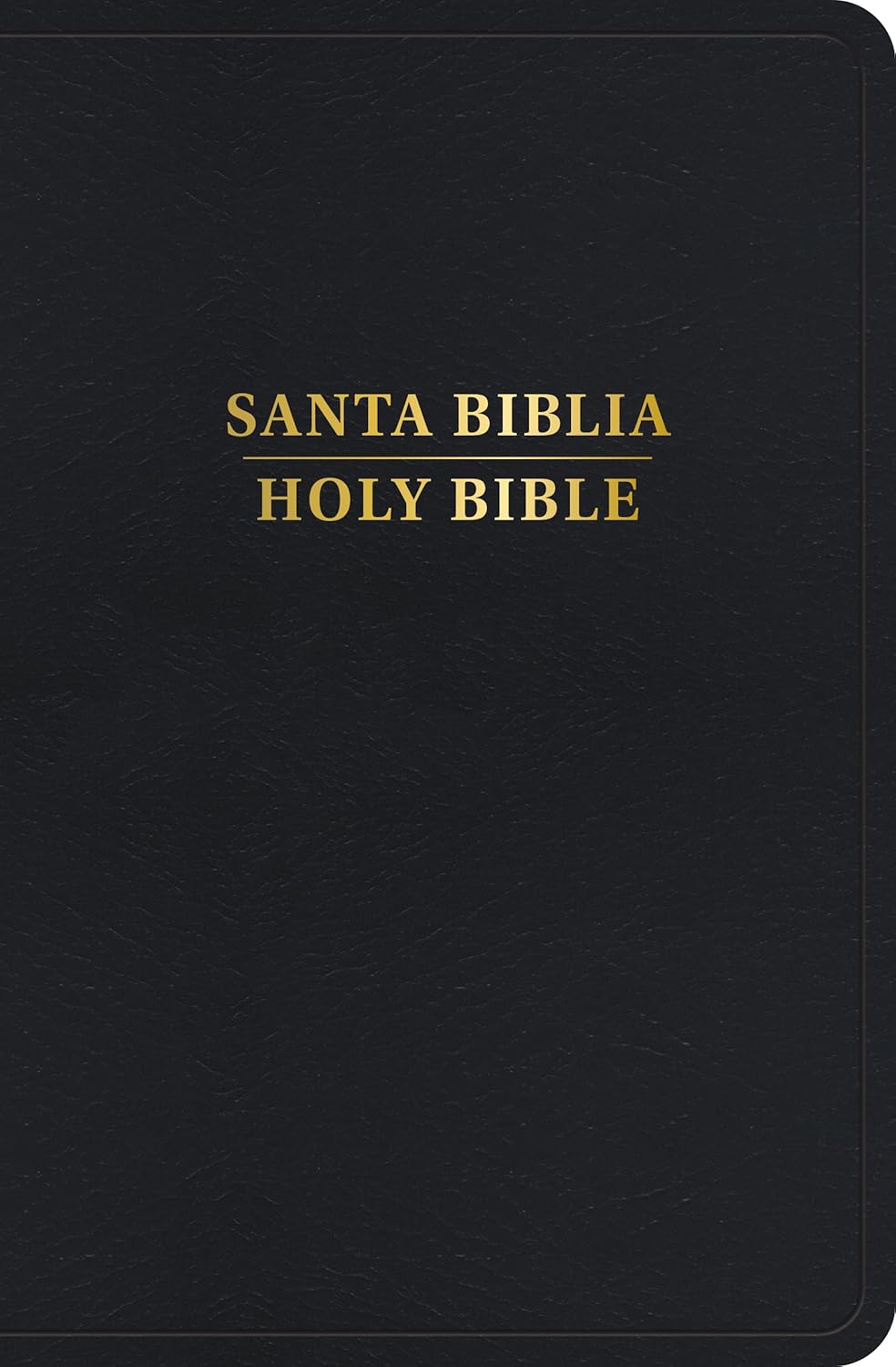 Rvr 1960/KJV Biblia Bilingue Tamano Personal, Negro Imitacion Piel (Edicion 2024) (Edicion 2024)