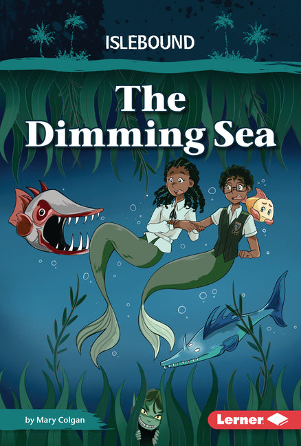The Dimming Sea