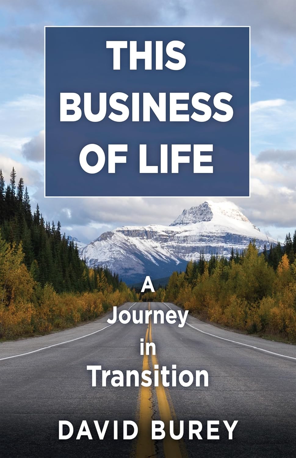 This Business of Life A Journey in Transition