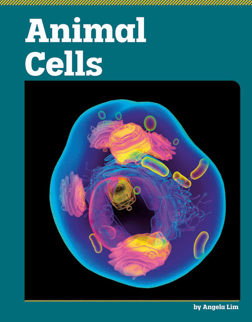 Animal Cells