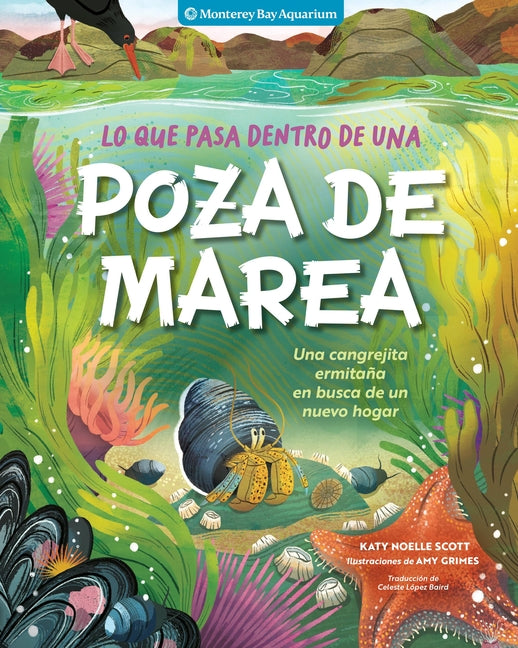 Lo Que Pasa Dentro de Una Poza de Marea: Una Cangrejita Ermitana En Busca de Un Nuevo Hogar