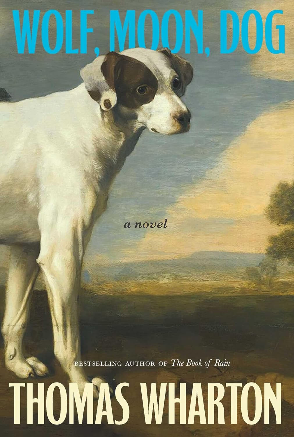 Wolf, Moon, Dog