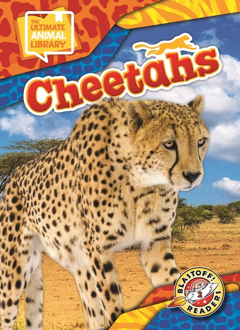 Cheetahs
