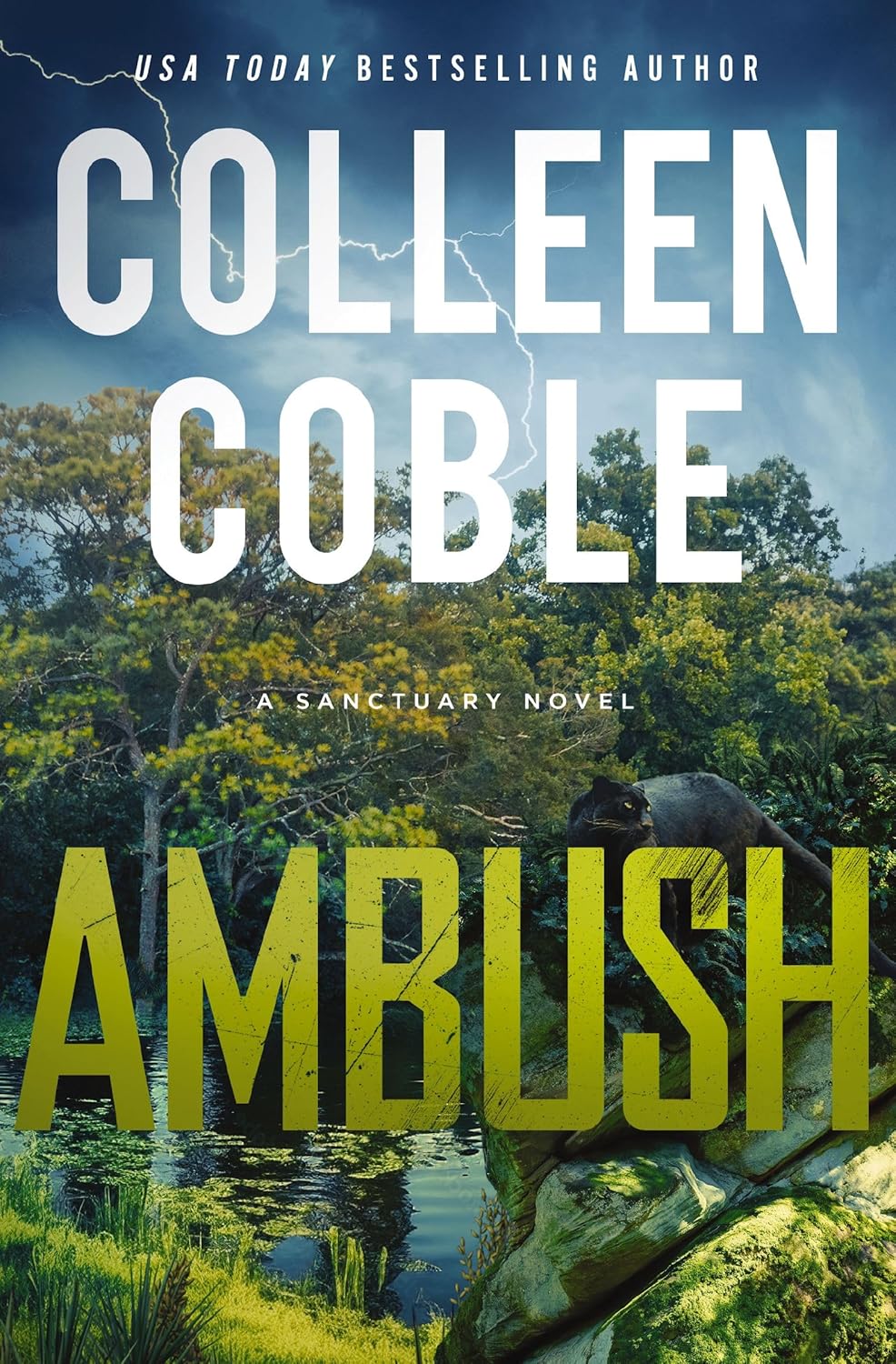 Ambush