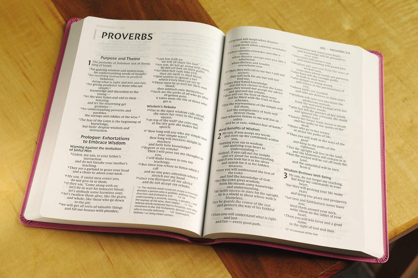 NIV, Value Thinline Bible, Large Print, Imitation Leather, Pink (Special)
