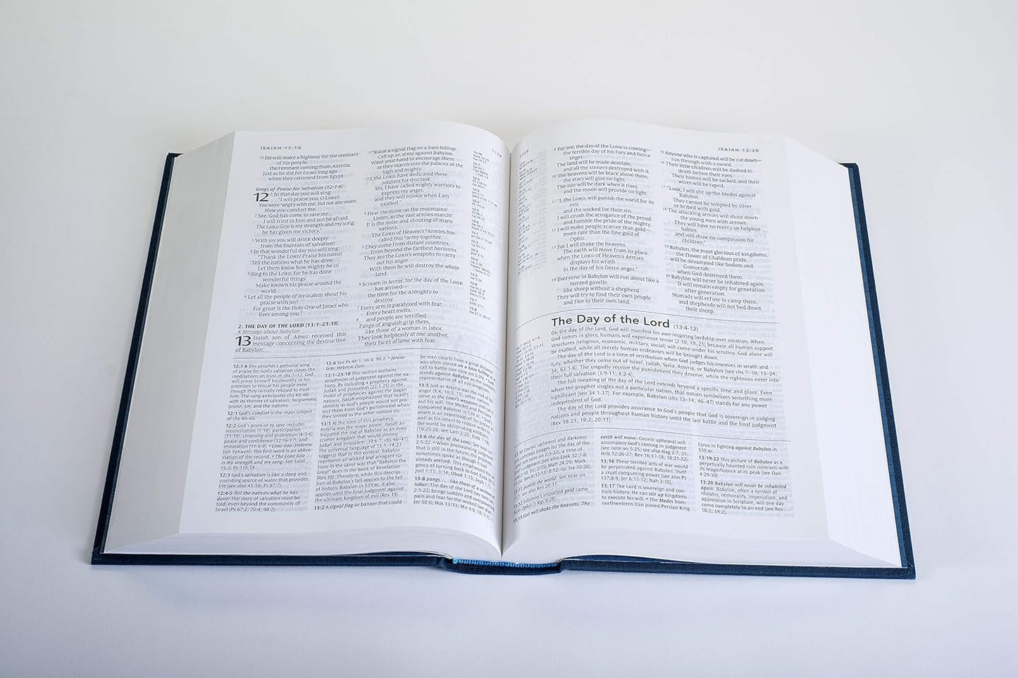 NLT Study Bible