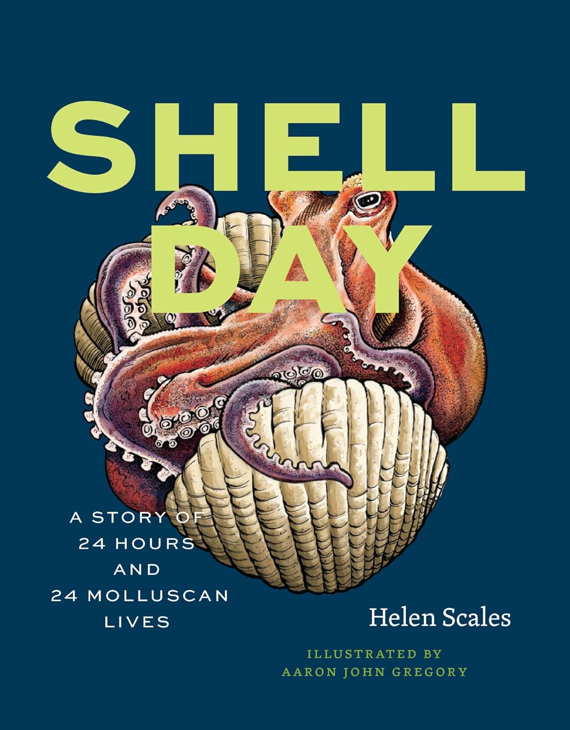 Shell Day: A Story of 24 Hours and 24 Molluscan Lives