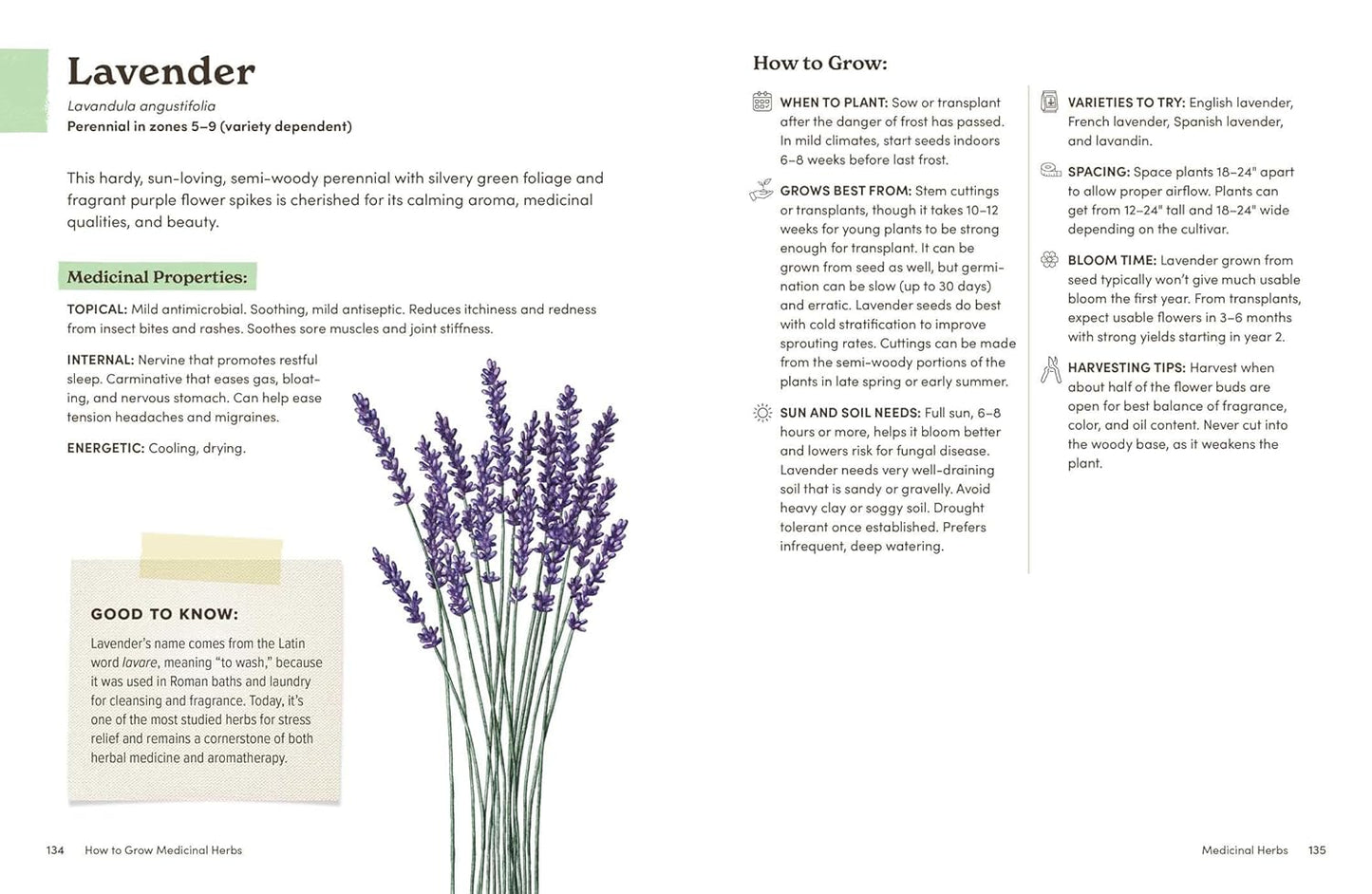 How to Grow Medicinal Herbs: An Illustrated Beginner's Guide to Growing, Harvesting, and Making Herbal Remedies at Home
