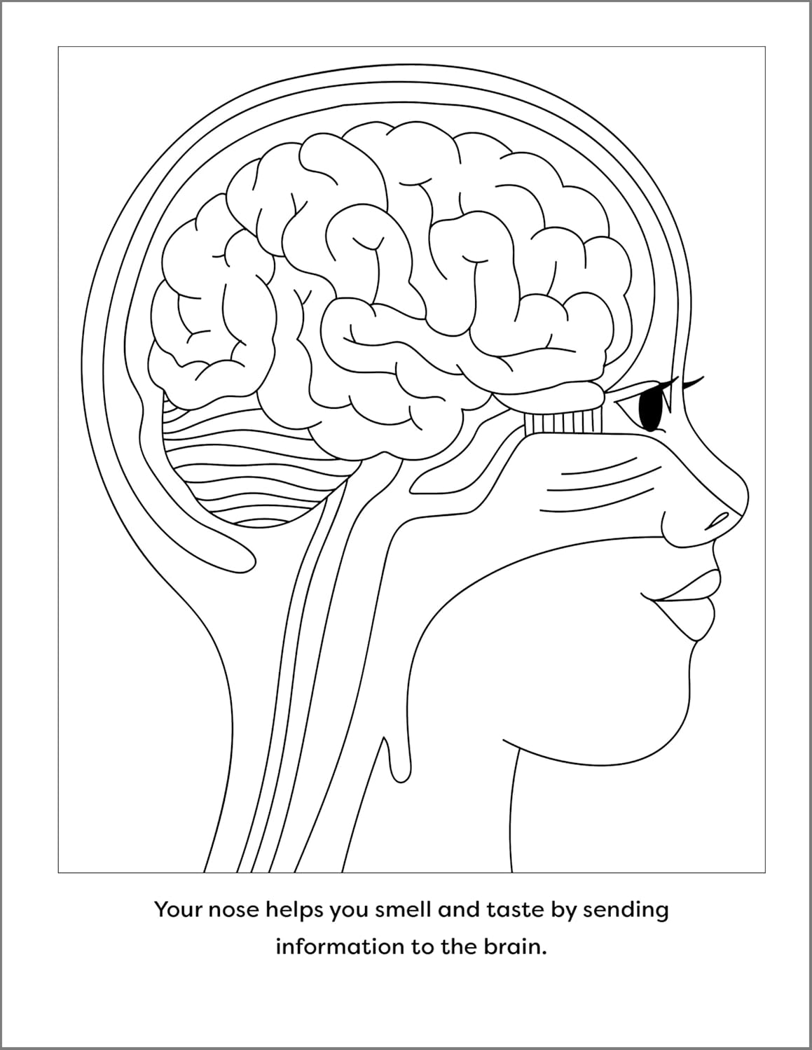 Human Anatomy Coloring Book with Facts: 35+ Coloring Activities with Facts about the Human Body