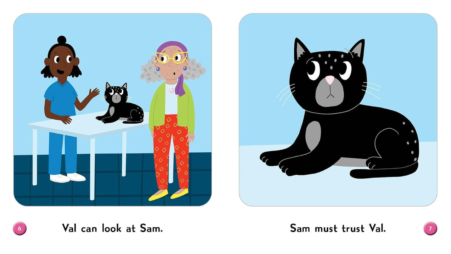 Sam at the Vet