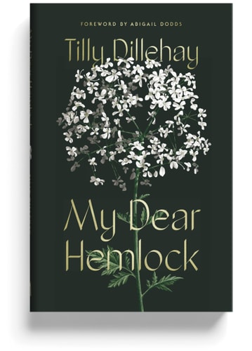 My Dear Hemlock - A Christian Living Book for Women, Guard Against Vices, Grow in Virtue, Christian Book for Women