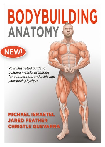 Bodybuilding Anatomy