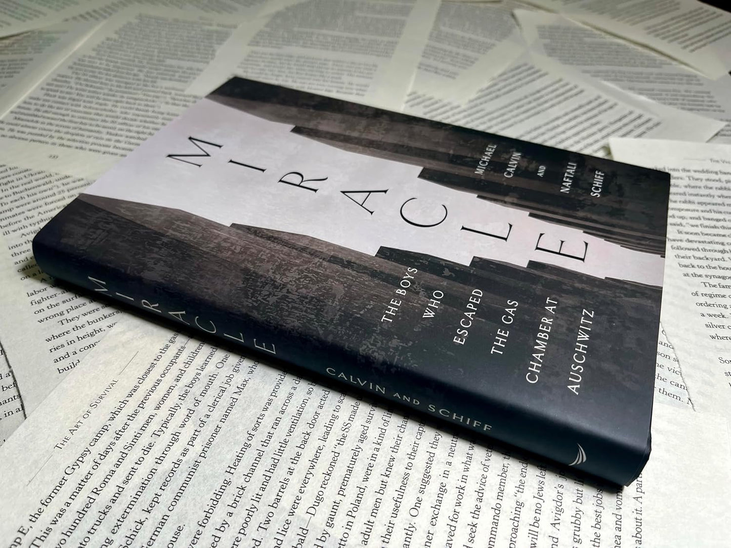 Miracle: The Boys Who Escaped the Gas Chamber at Auschwitz