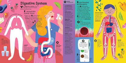 The Interactive Human Body: Explore the Human Body with Flaps, Wheels, Levers, Touch and Feel, and More!