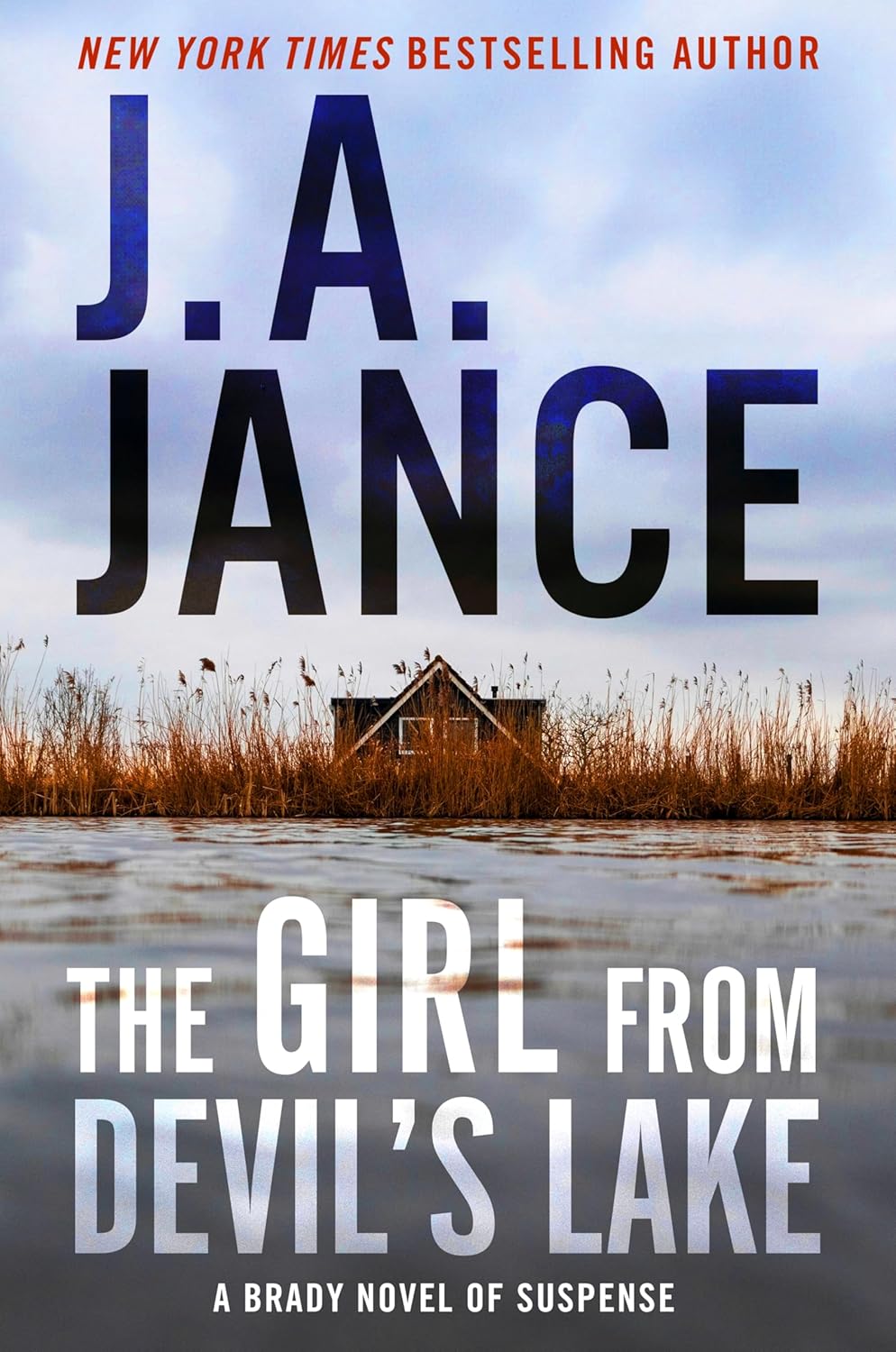 Girl from Devil's Lake: A Brady Novel of Suspense